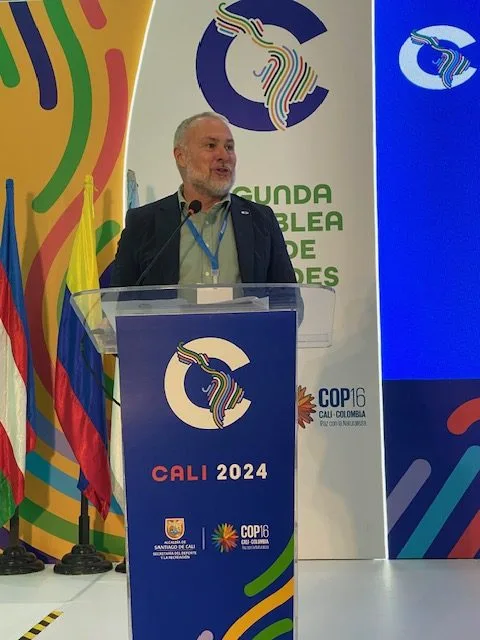 New Decalogue for Sport presented by the OEA and ACES within the framework of the Latin American Congress of Sport in Cali